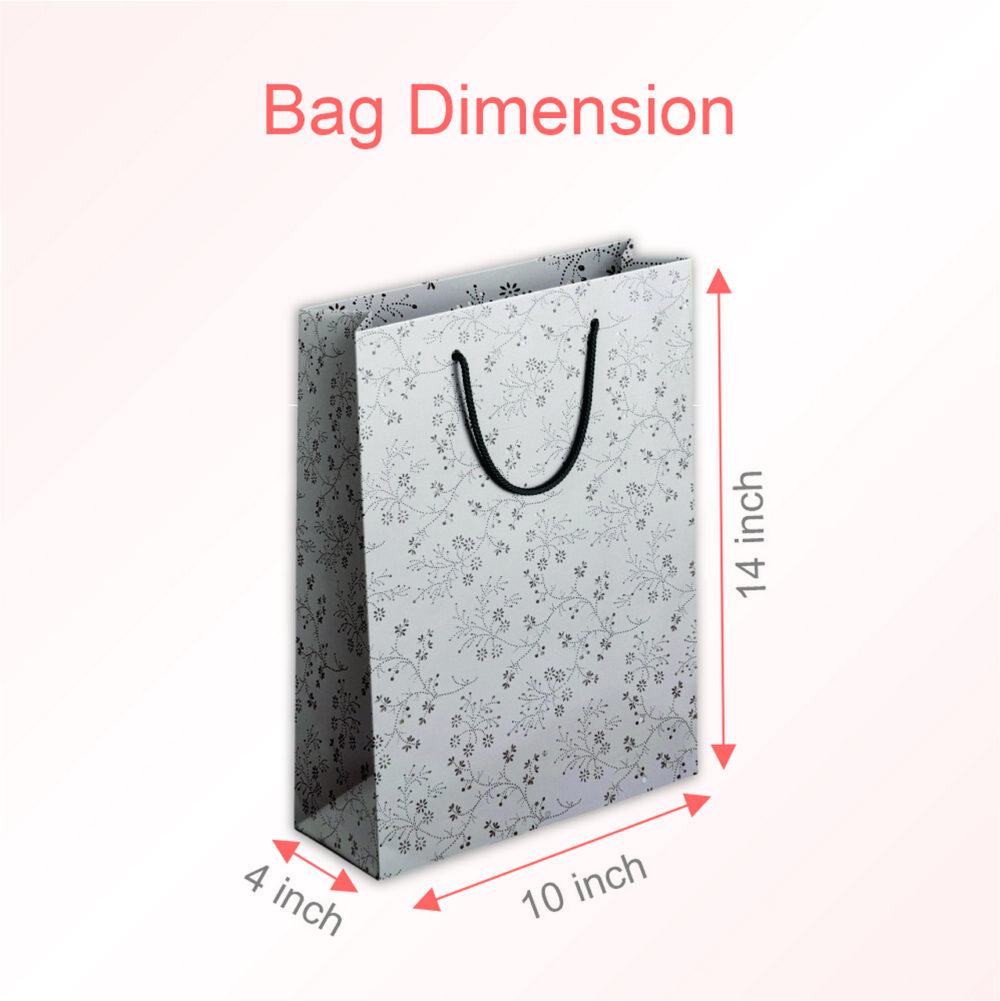 Premium Paper Bag 05 | Size 10*14*4 inch - Image 3
